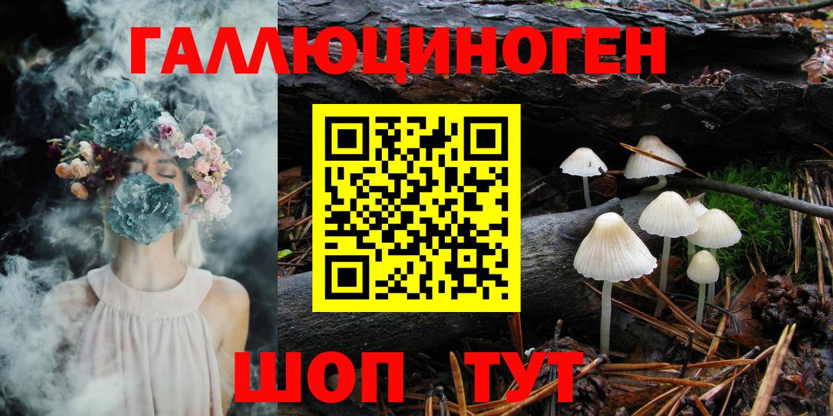 Галлюциногенные грибы Psilocybe  Вход с VPN  Краснознаменск 